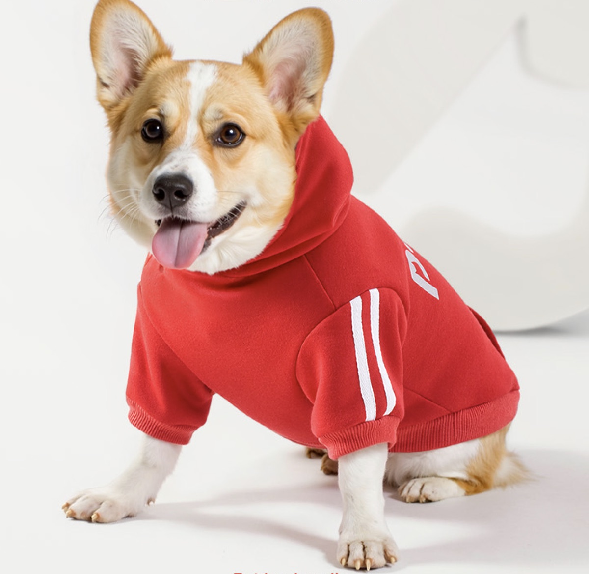 Warm Hooded Sweatshirt