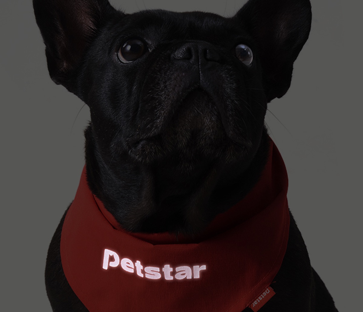 Pet Bib Bandana Deal