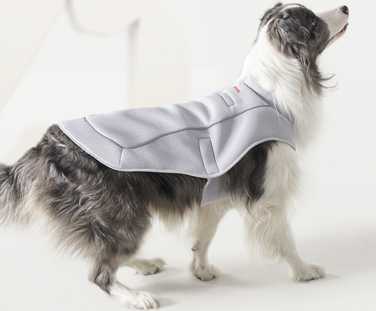 Cooling Vest