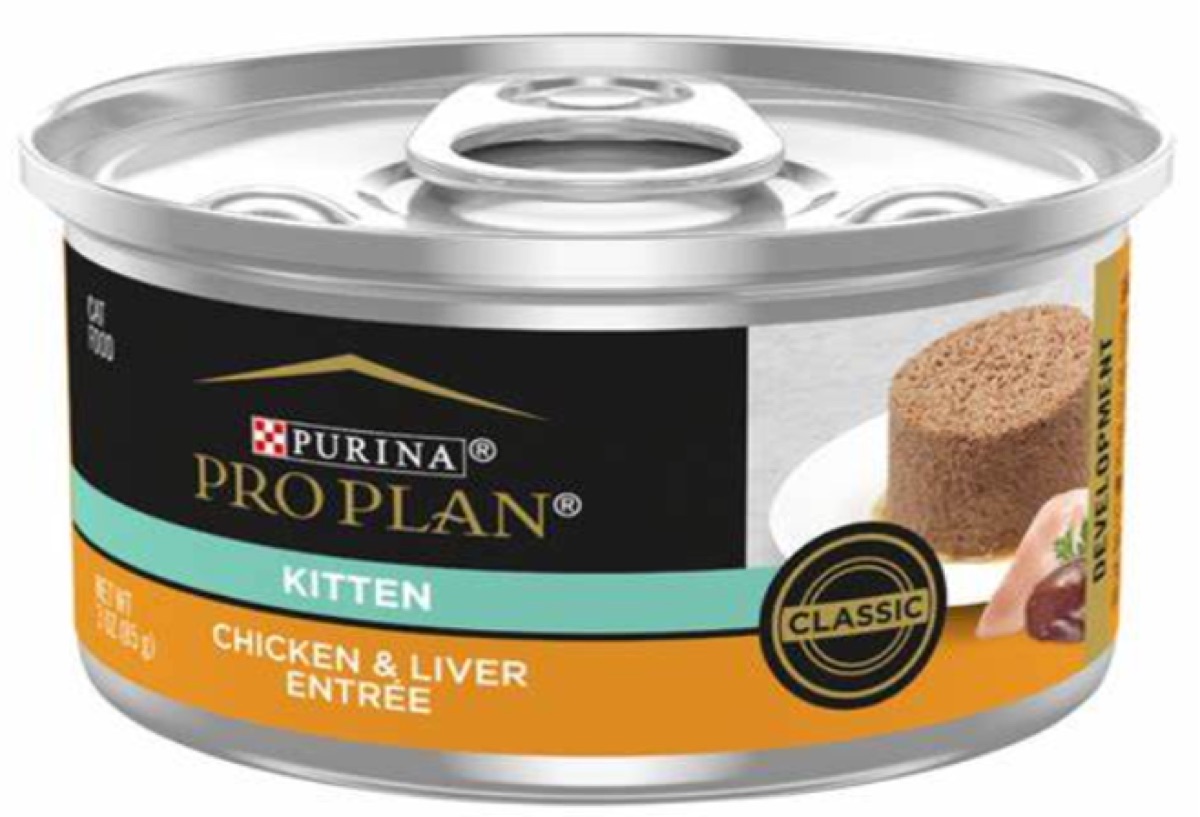 Kitten Chicken and Liver Mousse Can