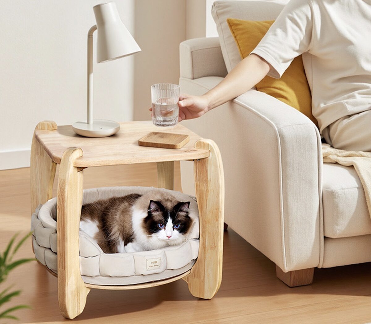Pet and Human Shared Side Table