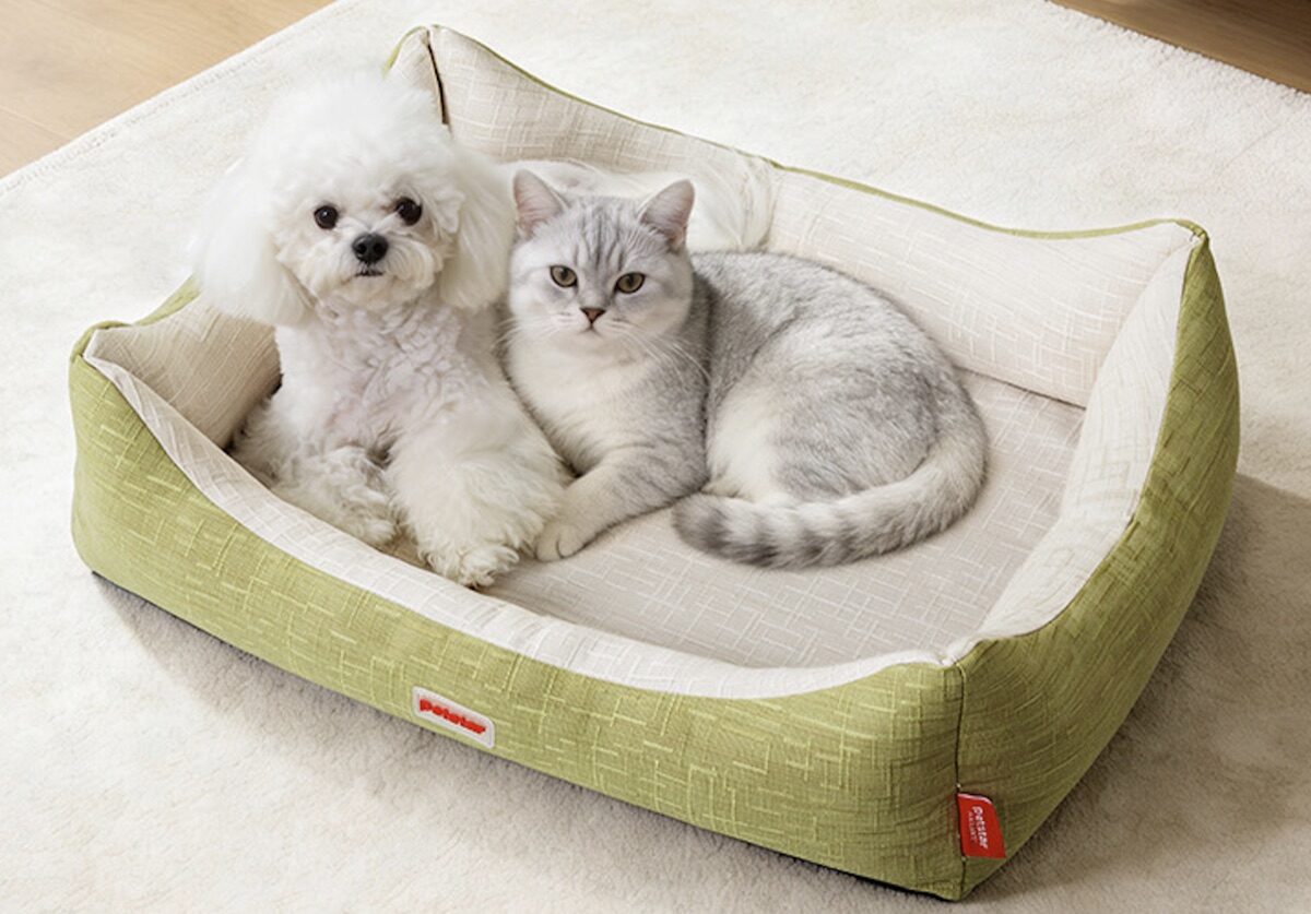 Four-Season Square Pet Bed