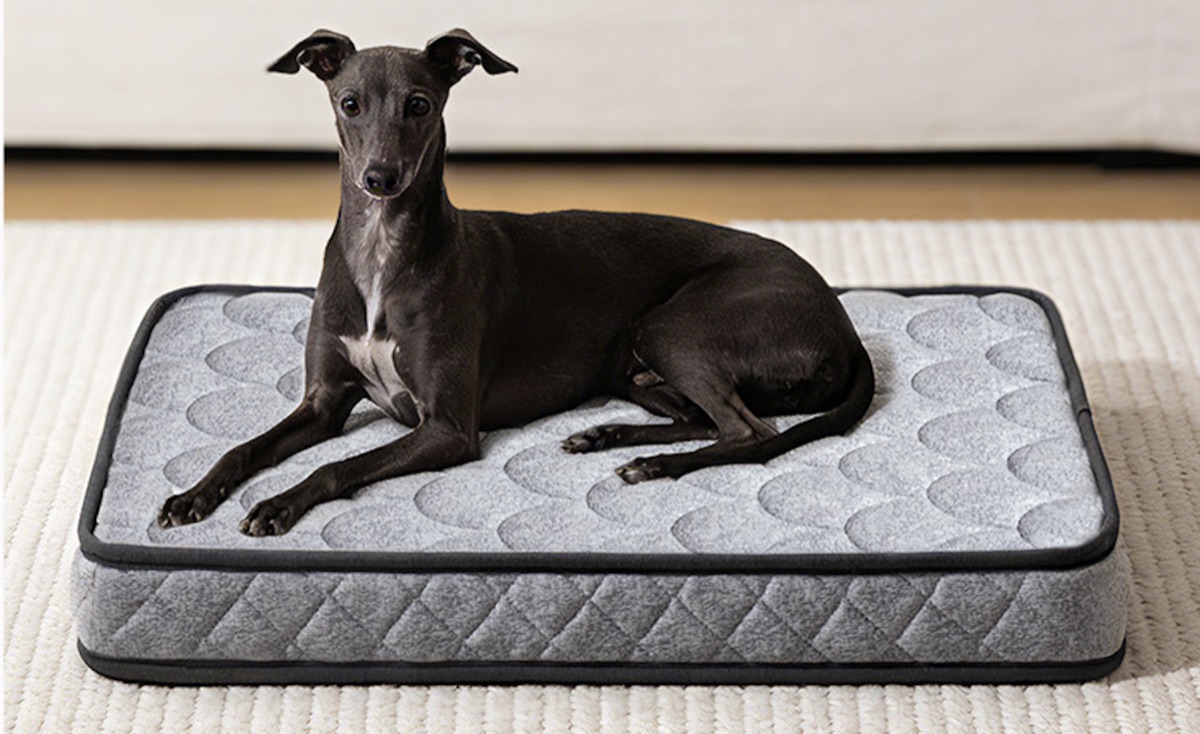 Spring Support Pet Mattress