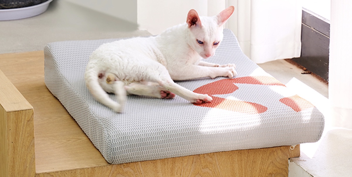 Aerobic 4D Pet Bed