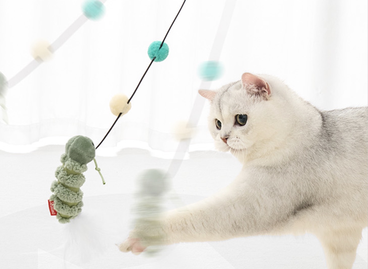 Cat Teaser Toy Set