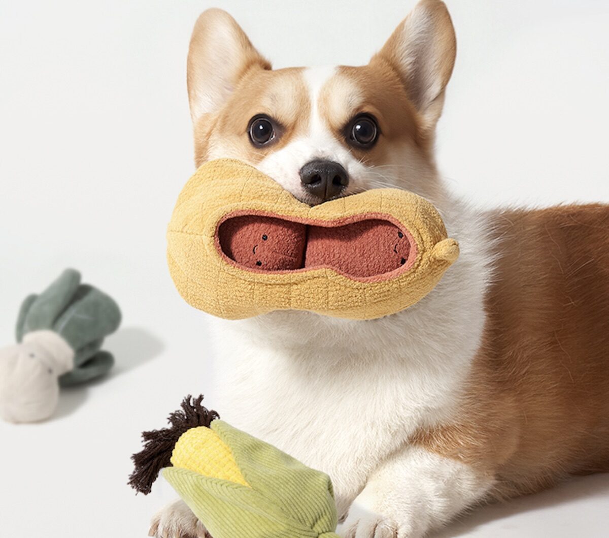 Veggie Farm Plush Set