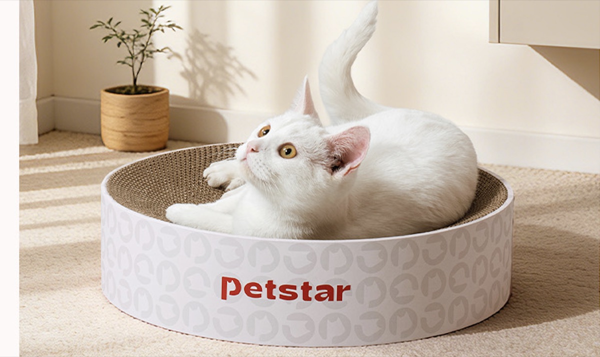 Round Cat Scratcher