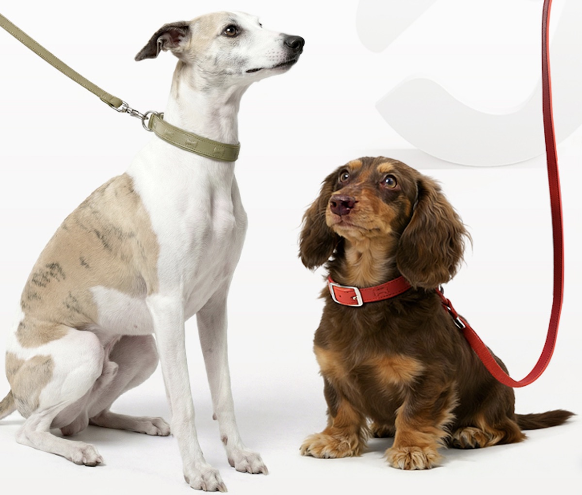 Woven Traction Leash