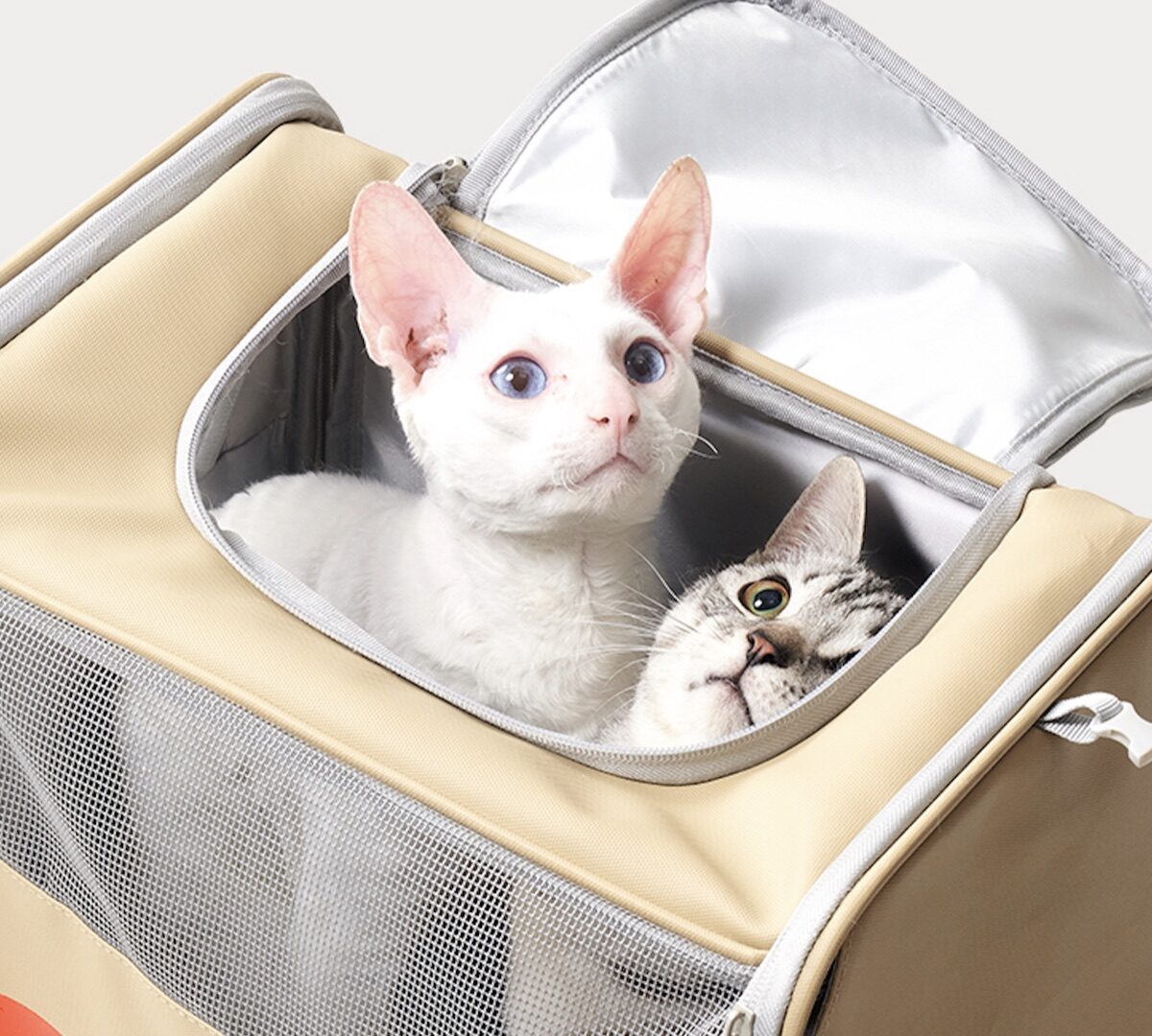 Pet Rolling Suitcase