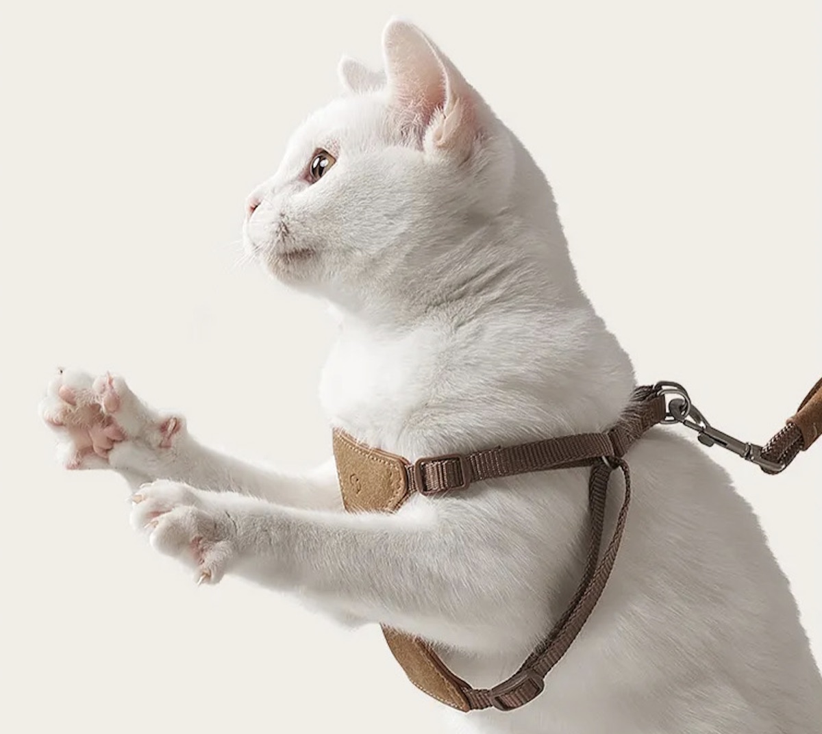 Chest Harness