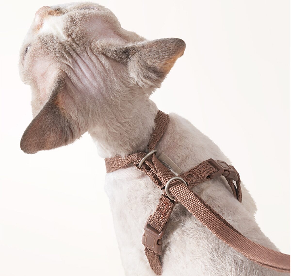 Leash Accessory Set